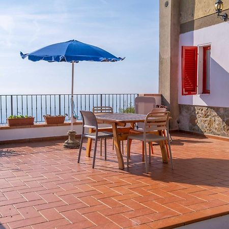 Agriturismo Irto Colle Massa e Cozzile Dış mekan fotoğraf